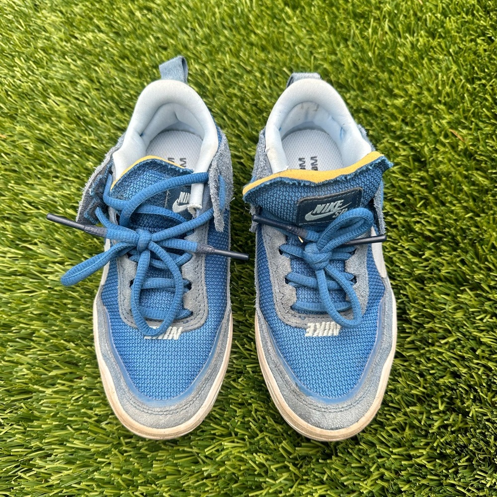Blue Skate Nikes